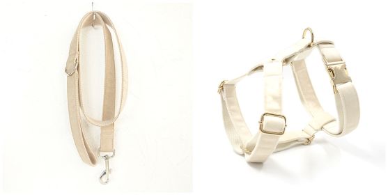 Dog collar traction rope (Option: Set-M)